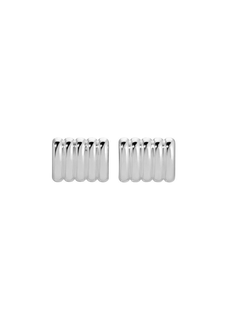 Pair of silver earrings on a white background