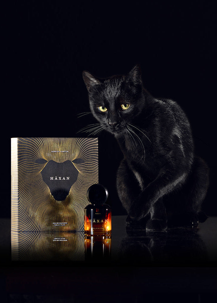 Black cat sitting next to a bottle and packaging of Haxan Perfume on a dark background